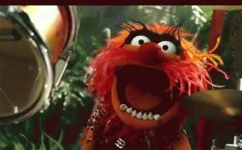 Drummer Muppets GIF - Drummer Muppets Puppet - Discover & Share GIFs