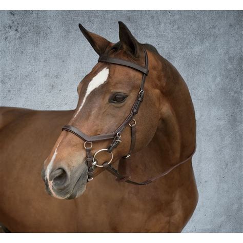 Micklem Competition Bridle Horse Stables, Horse Tack, Chicken Coop ...