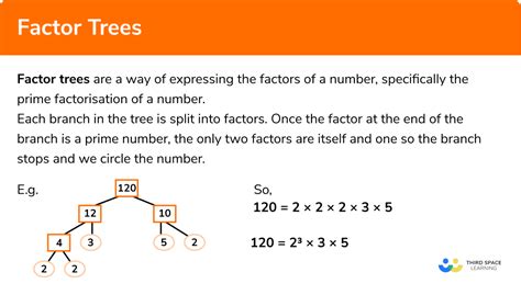 Factor Tree Of 12