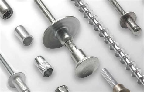 All You Need to Know about Types of Solid Rivets