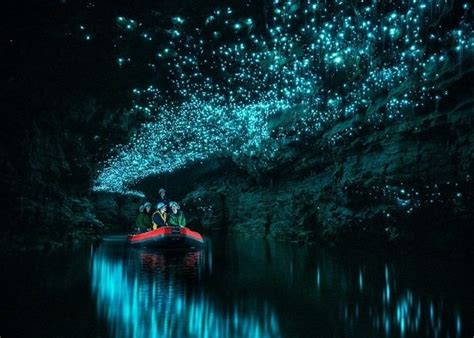 Glowworm and Cave Explorer | Tours - Spellbound Glowworm Cave Tours