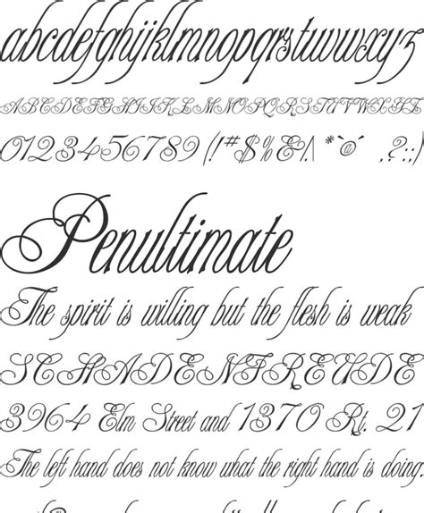 Copperplate Typeface