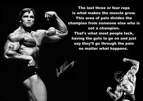 Arnold Schwarzenegger Bodybuilding Motivational Poster