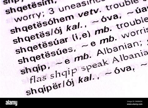 Albanian Language