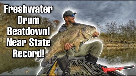 Freshwater Drum Beatdown near state record!!! - YouTube