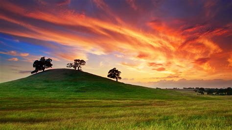 USA California spring sunset grass hill trees red sky - High Definition ...