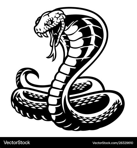 Black And White Snake Logo - Asesores