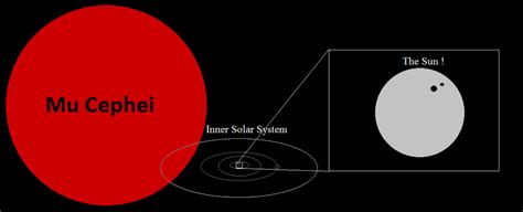 Mu Cephei (Garnet Star): Facts, Size, Constellation, Location | Star Facts