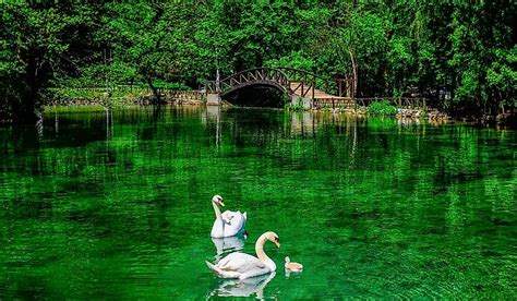 Bosna River - WorldAtlas