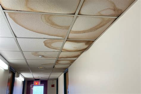 UC Berkeley students report water damage in dorms after rains