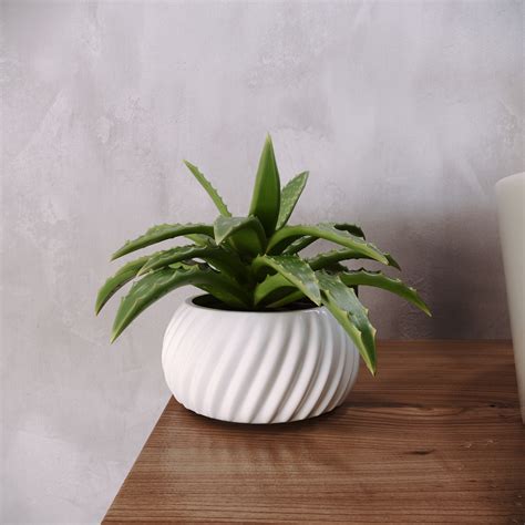 Bathroom decor set with aloe plant on Behance