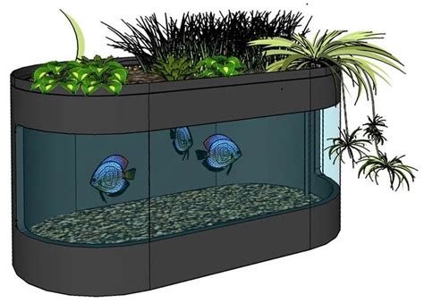 Aquaponics | Aquaponics, Fish tank, Fish