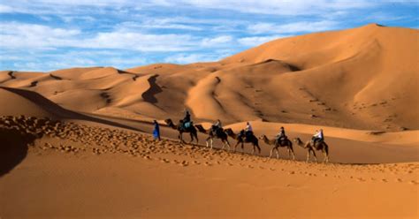 The Sahara Desert Has Grown By 10% In A Century And Yes, Climate Change ...