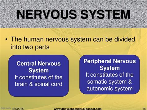 Biological basis of human behavior