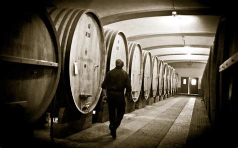 Barolo - A Guide To Barolo Red Wines From Italy | Wine 101