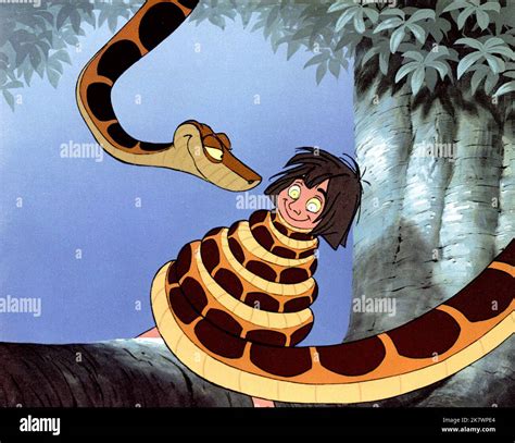 The Jungle Book 1967 Mowgli & Kaa Stock Photo - Alamy