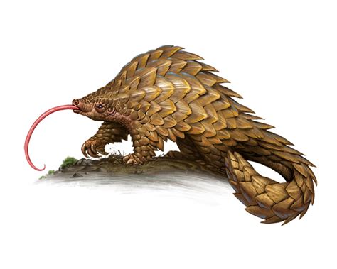 Giant Pangolin Size