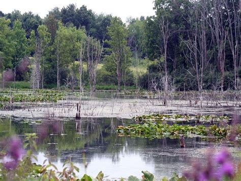 Pokagon State Park | Best campgrounds, State parks, Indiana travel