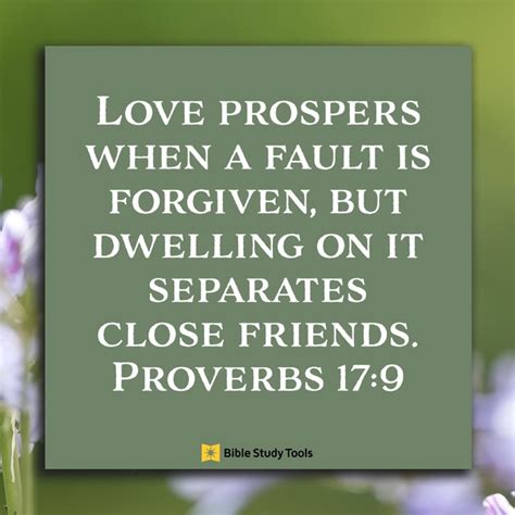 God Is All About Forgiveness (Proverbs 17:9) - Your Daily Bible Verse ...