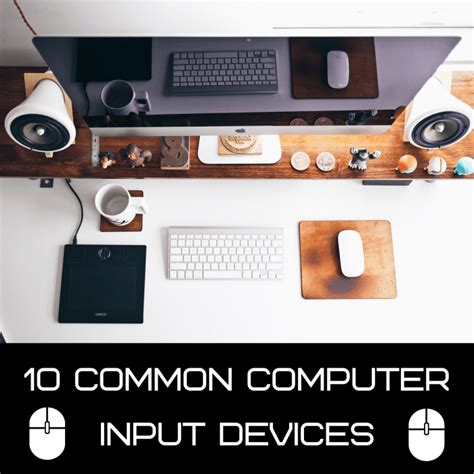 Computer Basics: What Is an Input Device? 10 Examples (2024)