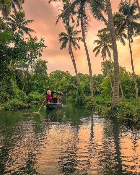 #kerala #keralablogexpress #palmtrees #coconuttree #backwaters # ...