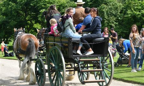 Get set for a day of delight at Sledmere House's "Down on the Farm ...