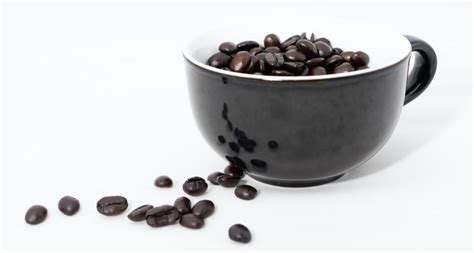 Best Dark Roast Coffee Beans in 2023 - Coffee Species