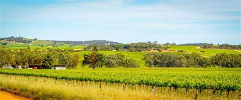 Barossa Valley Wine Tours From Adelaide | Taste the Barossa