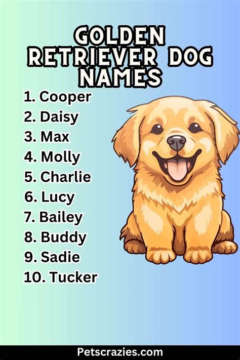 300+ Golden Retriever Dog Names (Memorable Monikers)