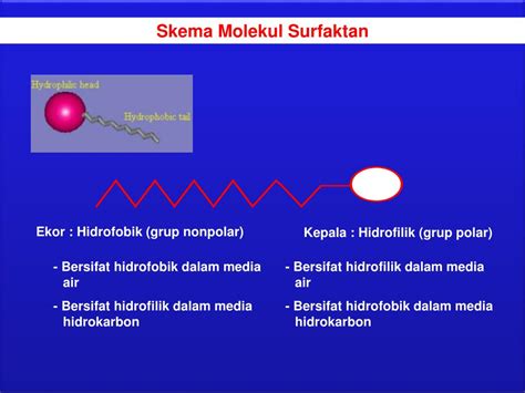 PPT - Rekayasa Proses Agroindustri TEKNOLOGI SURFAKTAN PowerPoint ...