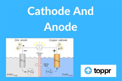 The Relationship Between a Cathode and an Anode Involves