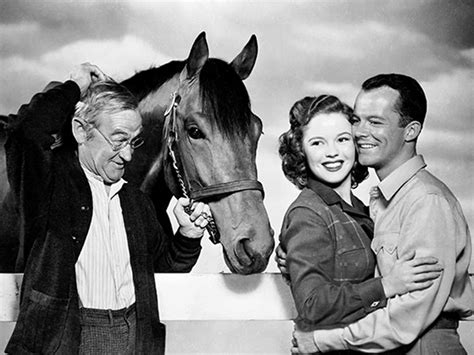 The Story of Seabiscuit (1949) - Turner Classic Movies