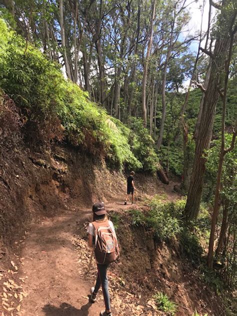 Hiking Aiea Loop Trail | Great Oahu Hikes Close to Honolulu