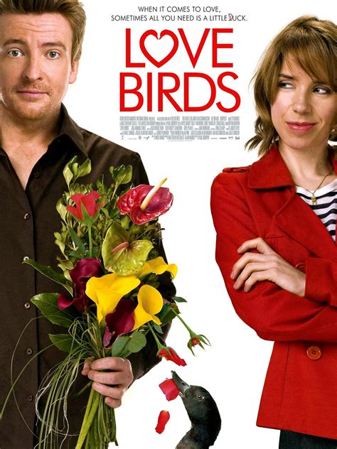 Love Birds Pictures - Rotten Tomatoes