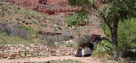 Indian Garden Campground - Grand Canyon| Grand Canyon Trust