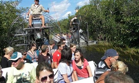 Alligator Tours LLC - Alligator Tours LLC | Groupon