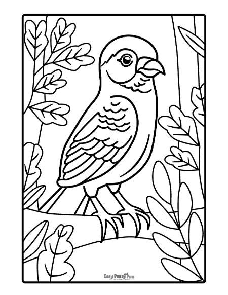 50 Printable Bird Coloring Pages - Easy Peasy and Fun