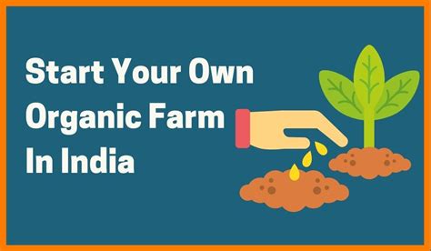 How To Start Your Organic Farming Venture In India?