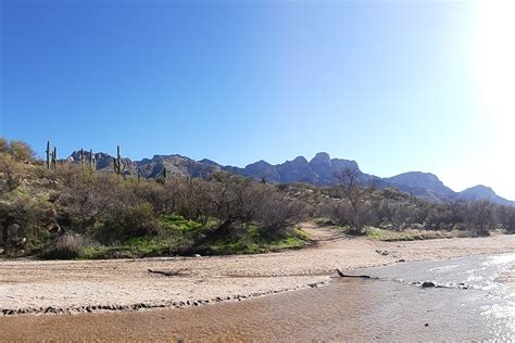 Catalina State Park - Wild West Wedding L.L.C.