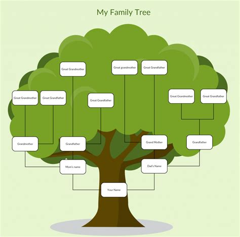 Family Tree Examples to Easily Visualize Your Family History