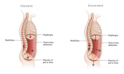 What is the Core? - Body GearsBody Gears