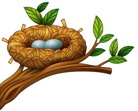 Download the Two eggs in bird nest 11803019 royalty-free Vector from ...