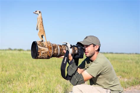 A Pro Shares His Go-To Gear For Wildlife Photography - 500px