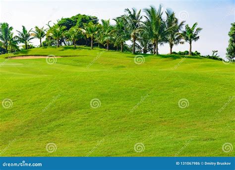 Green golf course stock photo. Image of nature, meadow - 131067986