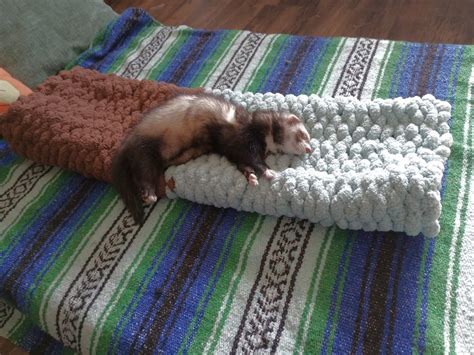 The Big Ferret Fun TUNNEL More Than One Color Option - Etsy