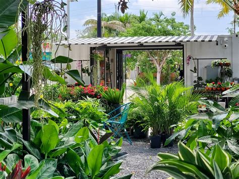 13 Best Plant Shops in Miami for the Touch of Green You Seek