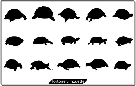 vector illustration of turtle silhouette Free 17114305 Vector Art at ...