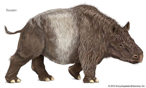 Top 123 + Pleistocene animals of north america - Lestwinsonline.com