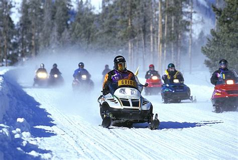 Yellowstone 101: The Newcomer's Guide | Backroad to Yellowstone