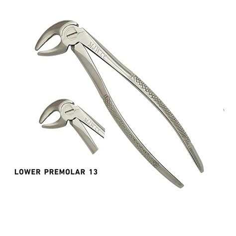 Dental Forceps Tooth Extraction Forceps No. 13 Surgical - Etsy